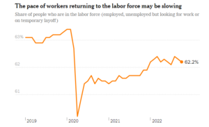 Labor Market insights