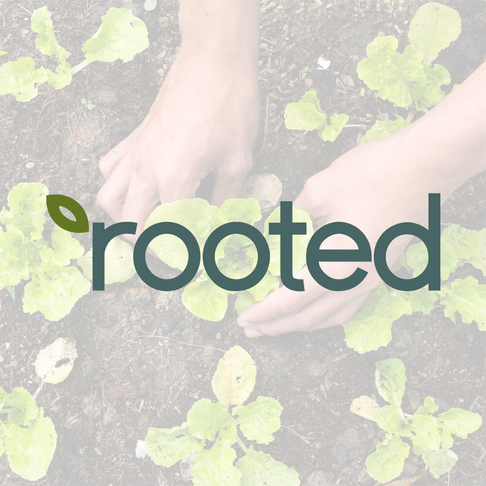 rooted